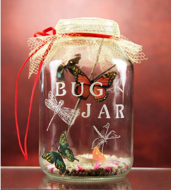 Bug Jar